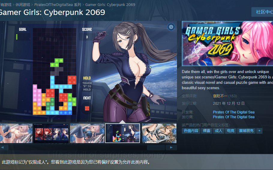 SLG/中文/步兵女游戏玩家赛博朋克/Gamer Girls Cyberpunk 2069 STEAM官方中文步兵版[OD/度盘]1G