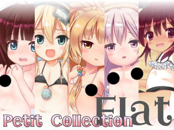 SLG/PC/步兵/生肉Petit Collection 1Petit FourPetit Collectionシリーズ 机翻译名小收藏RJ267292百度/谷歌/61M