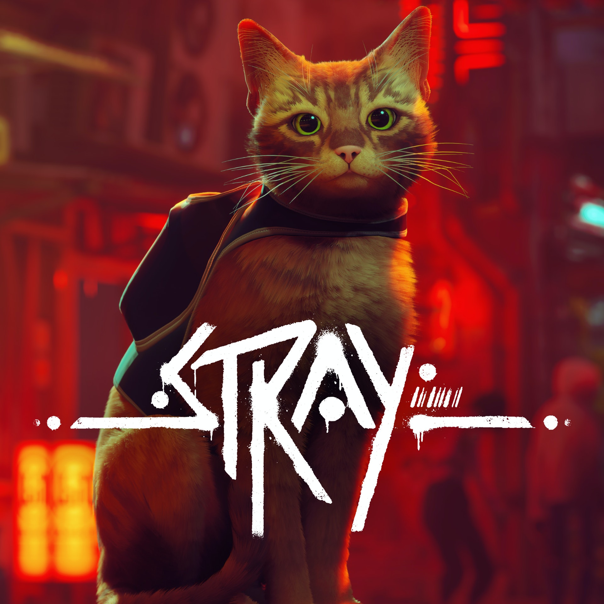 [ACT]Stray流浪官中PC@多載點@6.54GB