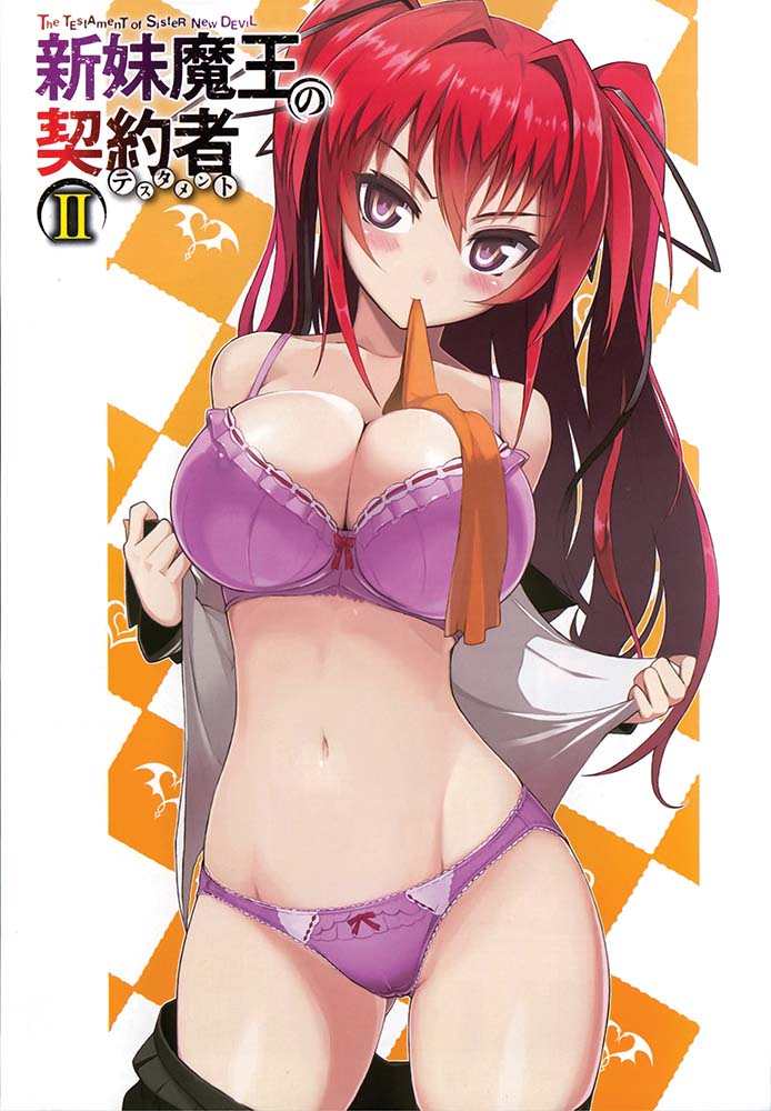 上栖綴人新妹魔王的契约者1-13卷+EX+各种短篇已完结