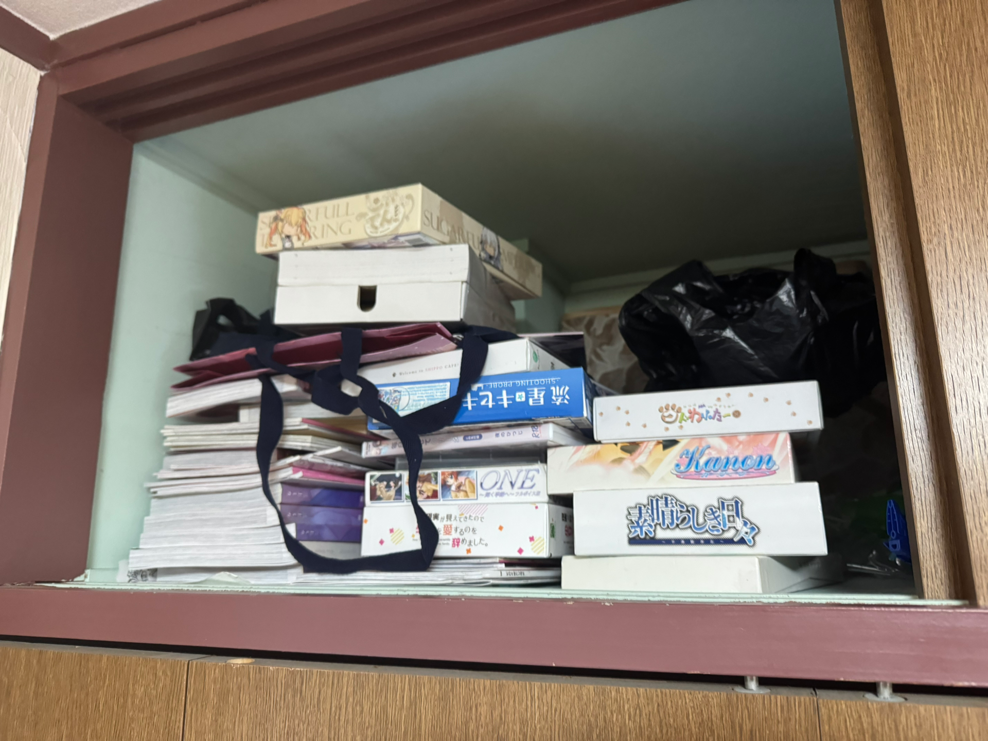 感觉我自己的成分已经拉满了，你们看看还差什么类型的gal没有买