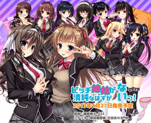 ビッチ姉妹が清純なはずがないっ!! 碧池姐妹不可能是清纯的!! PC/中文