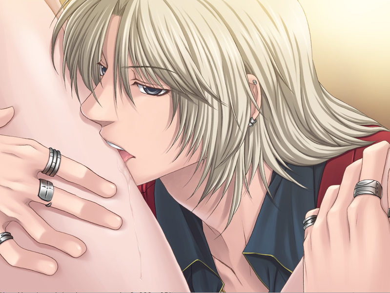 [PC汉化]月之光 太阳之影 本篇+FD两部 A社三部曲之一 R18 ADV 乙女女性向