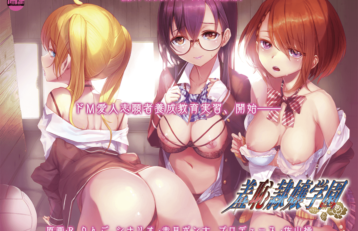 [ADV/AI汉化]羞恥隷嬢学園[700M/OD/度云]