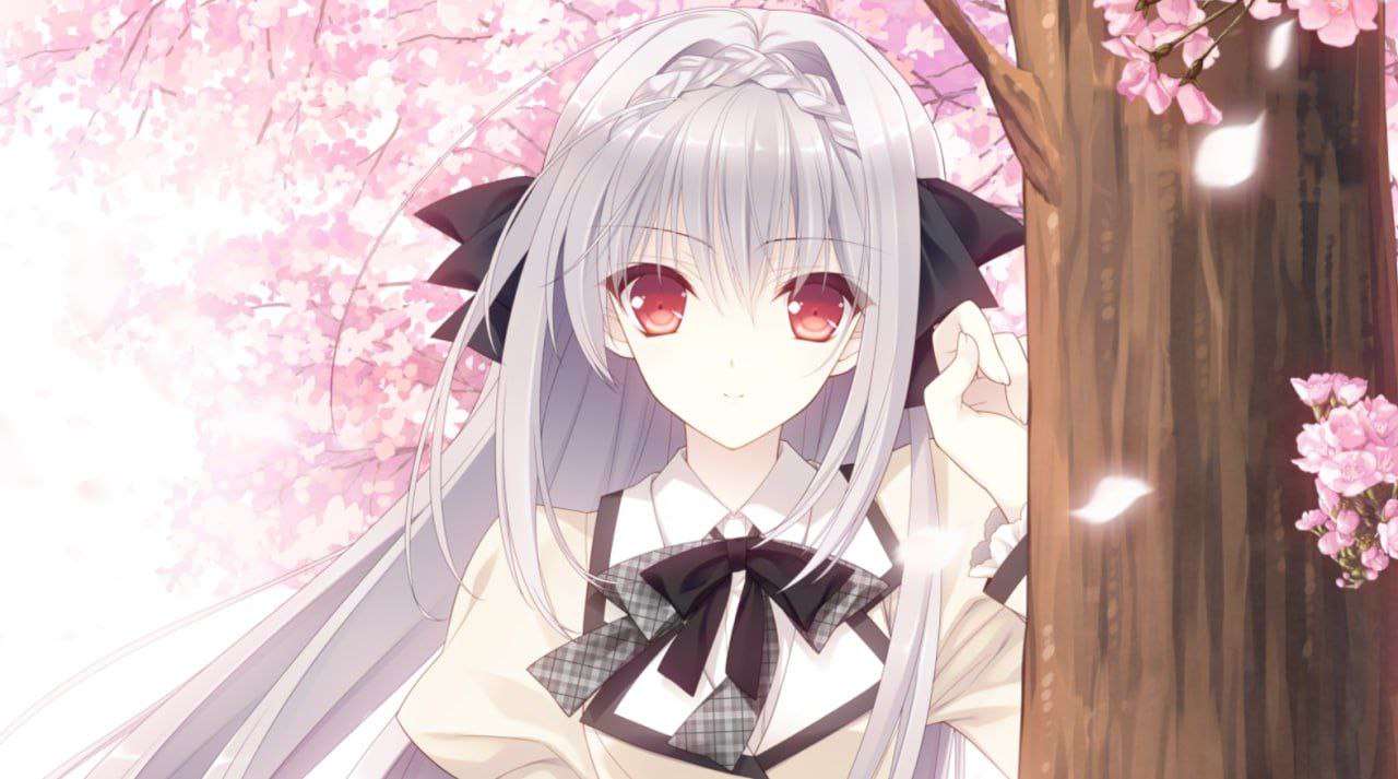 [ADV官中PC] 少女理论以及周边 -cole de Paris- [FM转BD 5.26G]