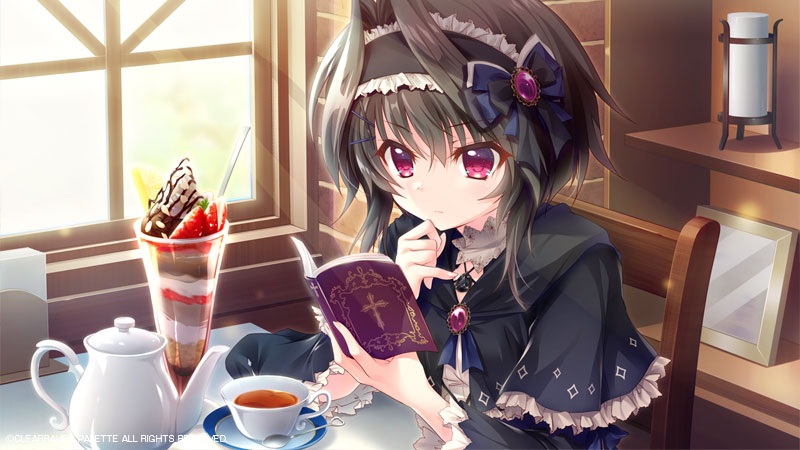 9-nine-雪色雪花雪之痕