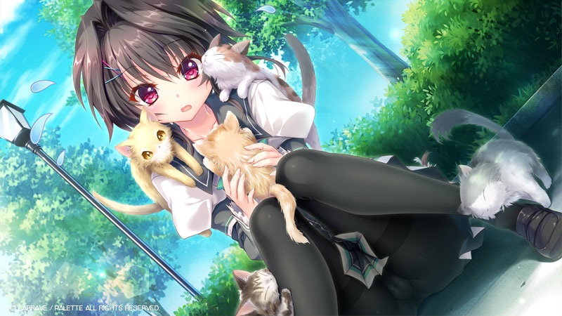 9-nine-雪色雪花雪之痕