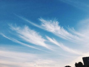 霖