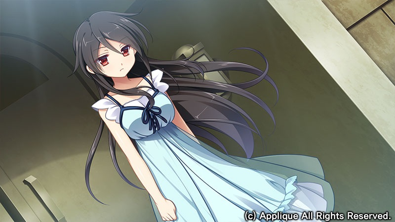 月影的幻影-解放之羽-