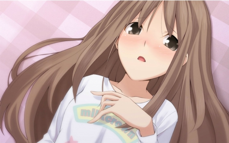 【ONS PC PSP】《秋之回忆系列大合集!》全(伪)系列(本传/续编/外传)【51.9GB】(全汉化)