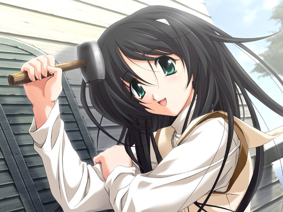 【ONS PC PSP】《秋之回忆系列大合集!》全(伪)系列(本传/续编/外传)【51.9GB】(全汉化)