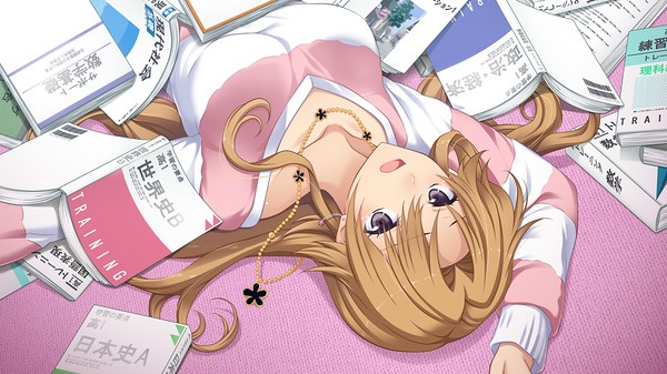 【ONS PC PSP】《秋之回忆系列大合集!》全(伪)系列(本传/续编/外传)【51.9GB】(全汉化)