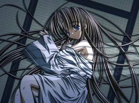 猫猫社《银色》