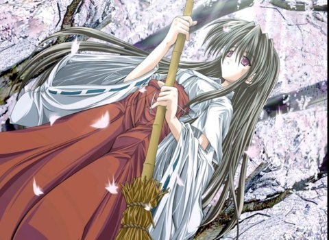 猫猫社《银色》