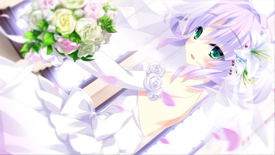 宿星girlfriend3 汉化版+生肉+全cg存档