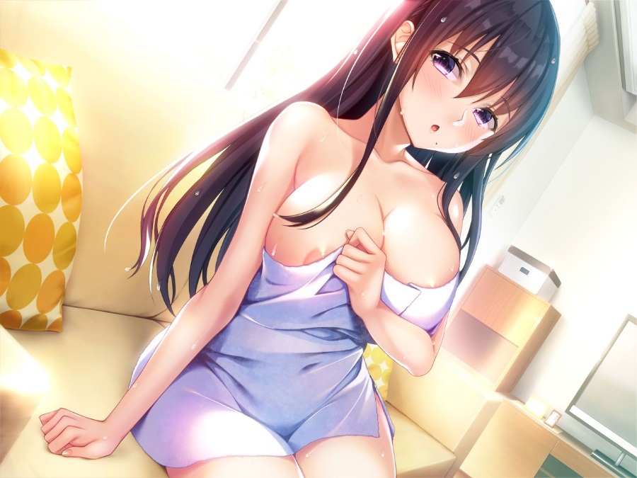 【德国骨科欢迎您/日式拔作ADV】请停手吧姐姐大人！要断了！完整汉化版+全CG【PC+安卓/全CV/3.5G】