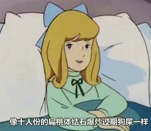 [PC]MEGA盘使用方法不需要科技附秒传链接用法