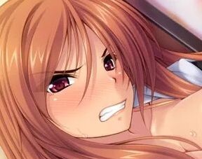 美女极限！目标~后宫公寓！汉化版+CG【新汉化/1.7G/pc/krkr】