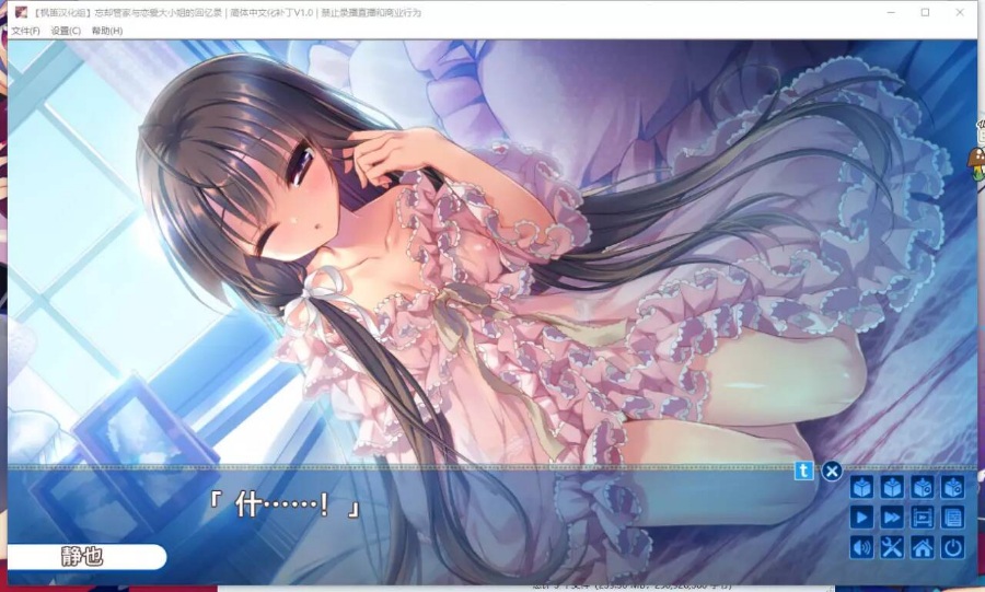 忘却管家与恋爱大小姐的回忆录
【PC/汉化】