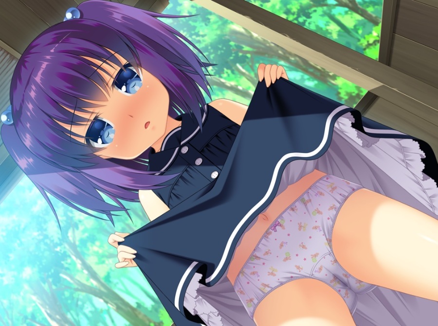 秘密基地里的羞羞事[PC][krkr][汉化]