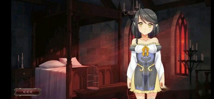 [安卓/调教/生肉]精灵征服者系列12合集