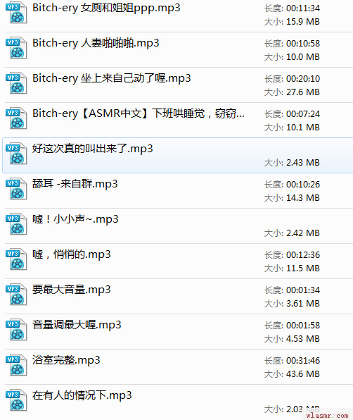 【中文音声】Bitery合集~40多倍的快乐