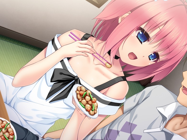 妻色少女[PC][krkr][汉化][ADV]