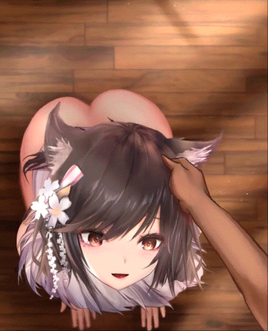 (白嫖福利)[2.5D动画]2.5D动画合集【2G+】