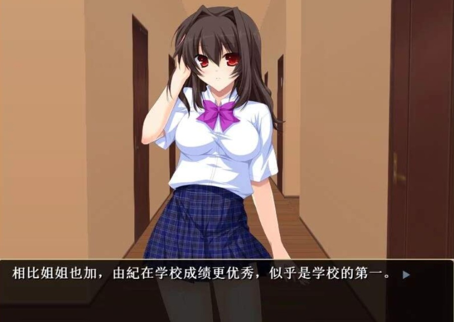 自宅警备员2胁迫无双最终版补丁整合汉化版+1代汉化+9动画+4漫画【8.36G】