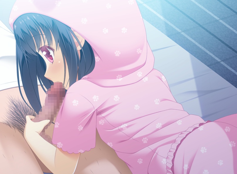 お兄ちゃん寝ちゃった[ADV][PC][krkr][生肉]