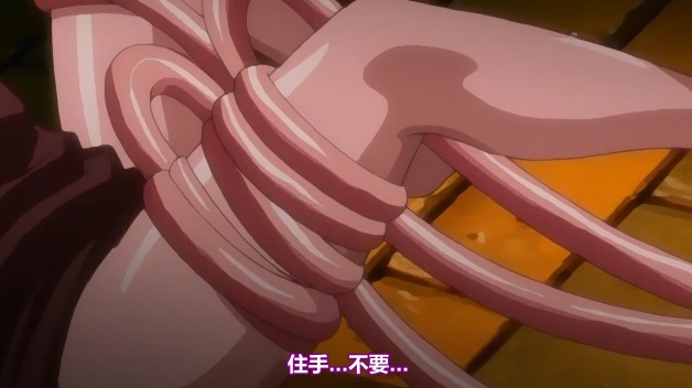 【里番/无码】黒愛～一夜妻館・淫口乱乳録【2V 1.54G】