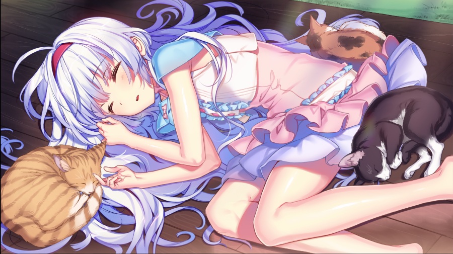 在同一屋檐下的羽翼【PC/KRKR/汉化】