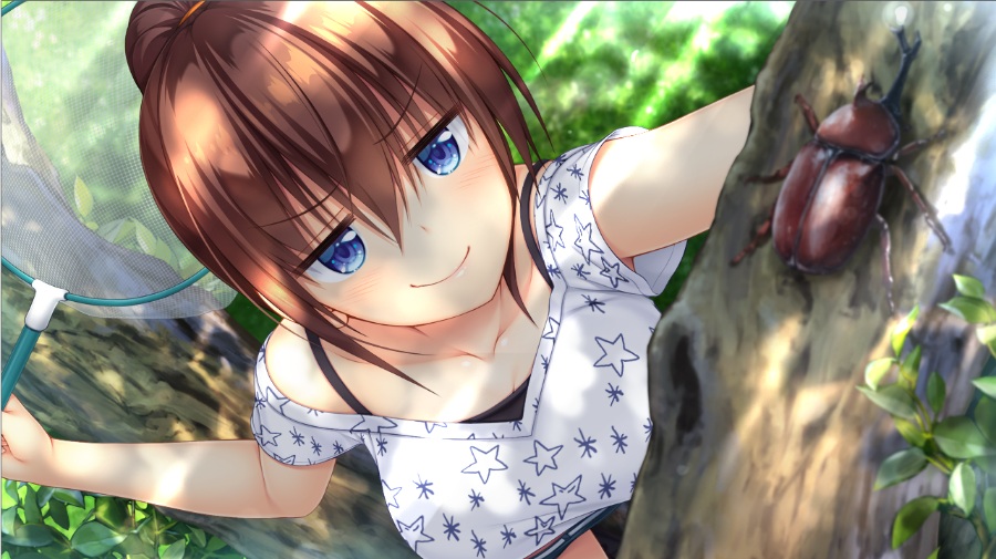 纯真之夏【PC/汉化】