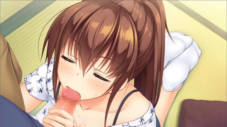 纯真之夏【PC/汉化】