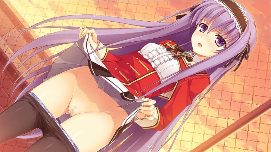 恋骑士Purely☆Kiss【PC/KRKR/汉化】