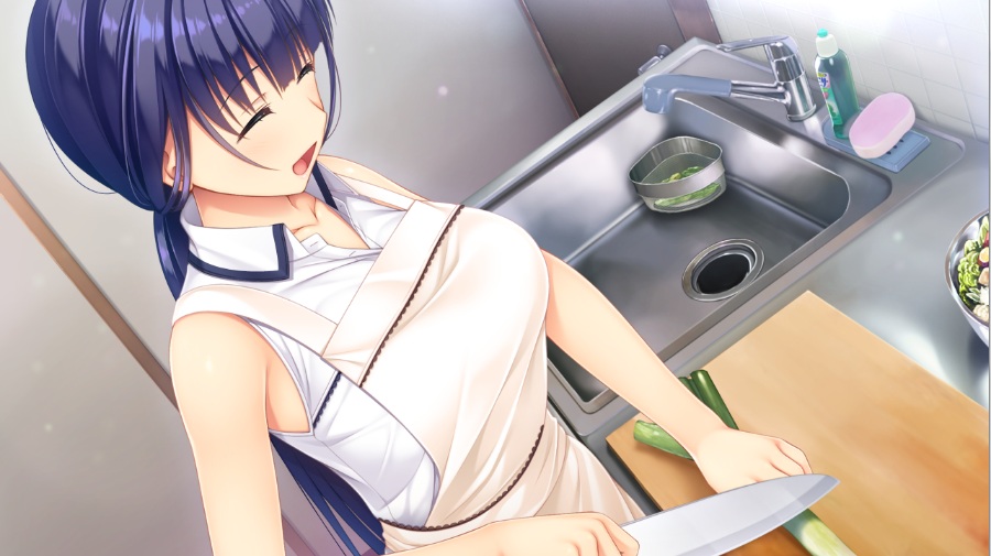 纯真之夏【PC/汉化】