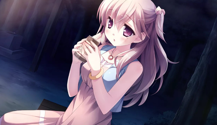 【KRKR/汉化】仓野家的双子情事