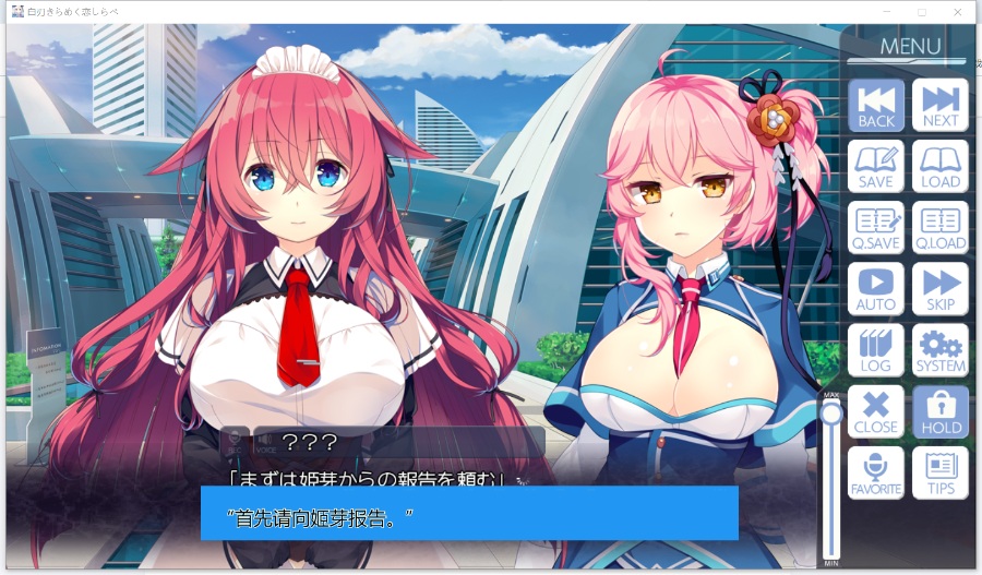 MisakaTranslator软件电脑版详细教程（基于百度翻译api）