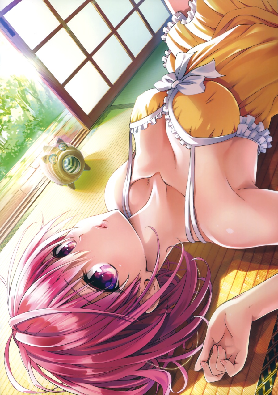 [画集/高清扫图]「To LOVE-Ru Darkness」10周年纪念画集「Harem Gold」[PNG/148P][R18][1.01GB]