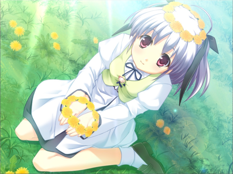 [PC/ADV/汉硬/实妹] 实妹相伴的大泉君 / リアル妹がいる大泉くんのばあい
+全CG存档+攻略[RAR 1.14GB]