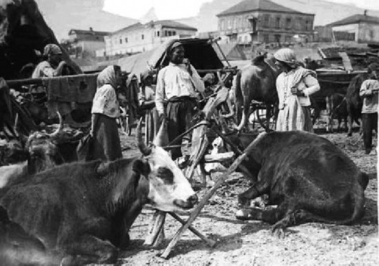 徐元宫苏联农民的抗争及其命运--理论--人民网