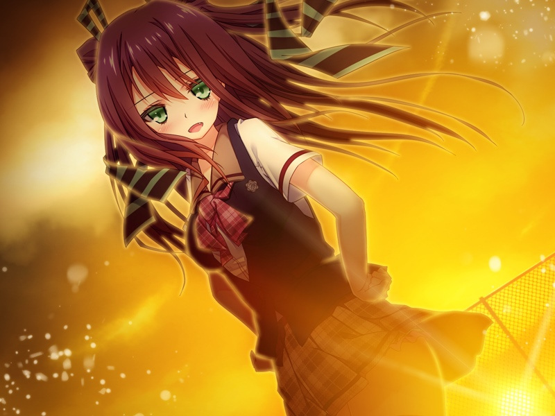 [PC/ADV/汉化] 駄作 ~ヌイアワセ~ [汉化硬碟版][简中][.7z 2.19G]