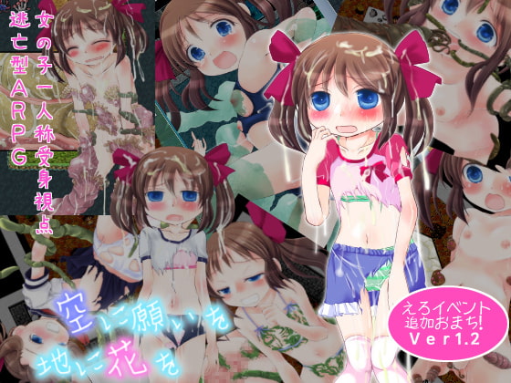 PC汉化空に願いを地に花を/向天空祈祷愿鲜花遍地