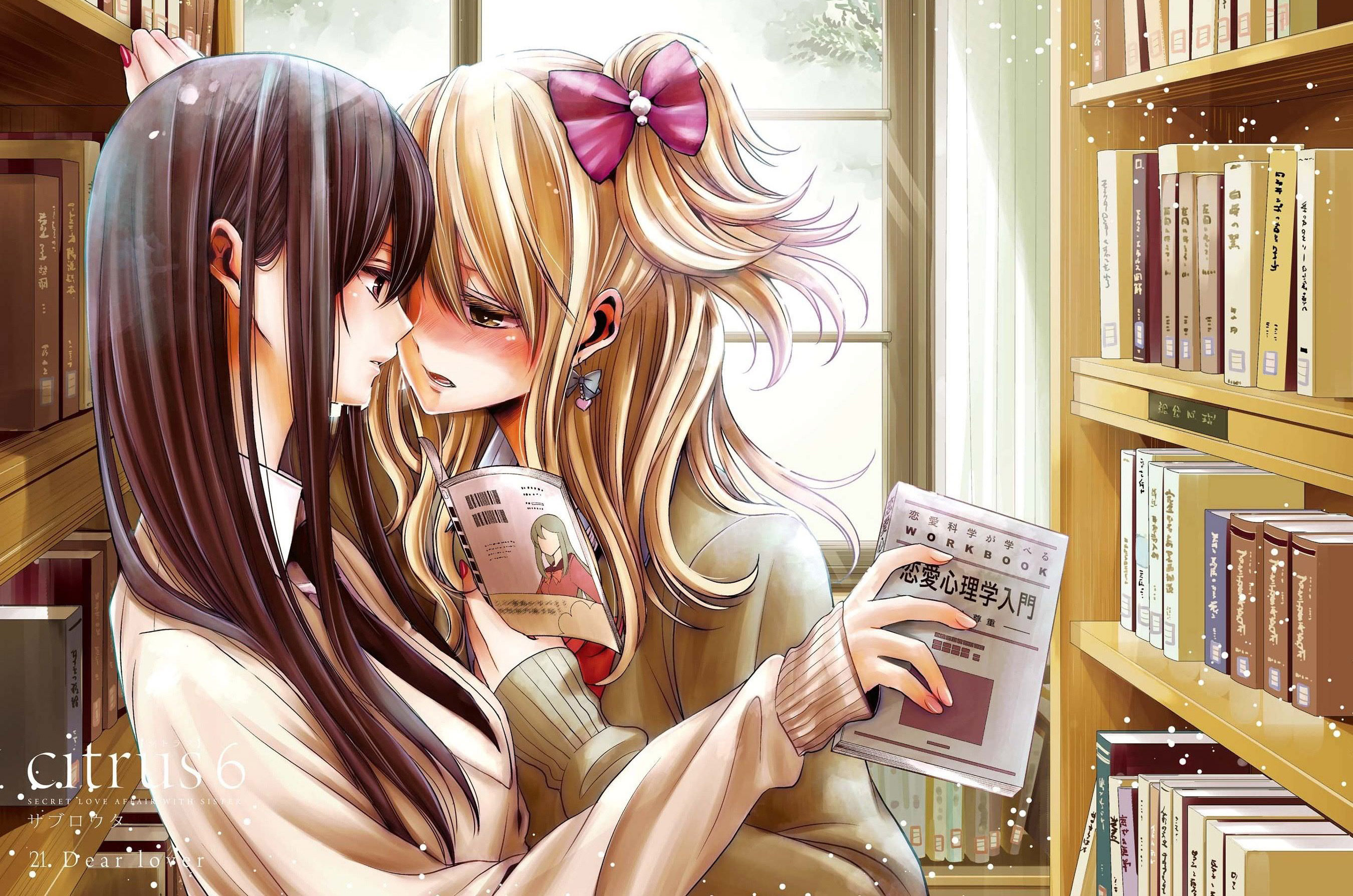 [中][OD][三郎太][サブロウタ]citrus 柑橘味香气[1-41话全][完结][813MB]