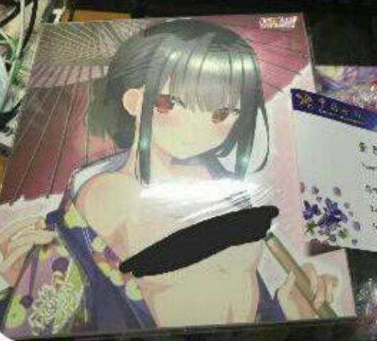 有大佬知道这是什么游戏OR本子吗？