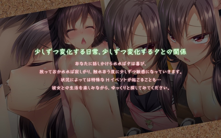 [Android] 安卓直装 1room 家出少女 [Unity 3D]