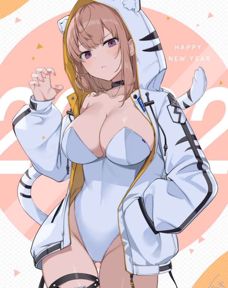 我就想弄点积分而已