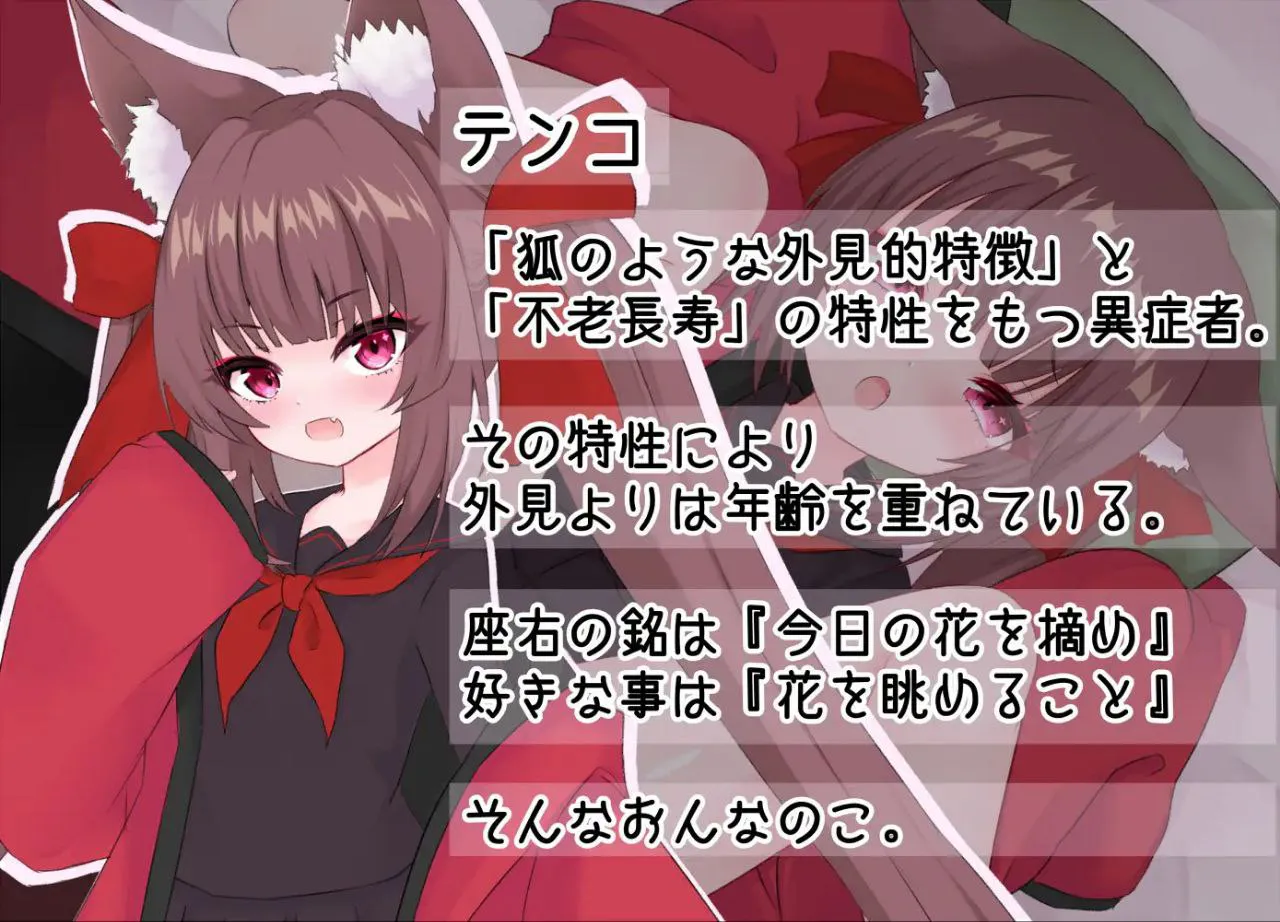 【PC/安卓/RPG/纯爱】テンプレートな恋したい