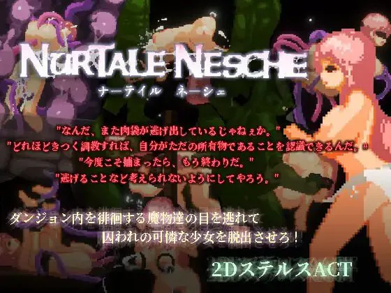 [ACT/官中/像素动态]娜蒂尔·涅舍v1.0.6.2 ナーテイル・ネーシェ ACT 第1张
