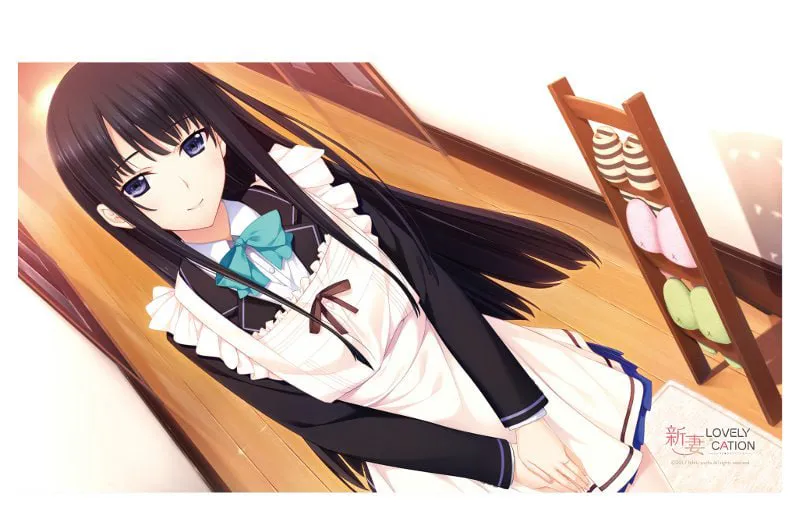 【PC/ADV/精翻汉化】新妻LOVELY×CATION ---新妻LOVELY×C∧TION  